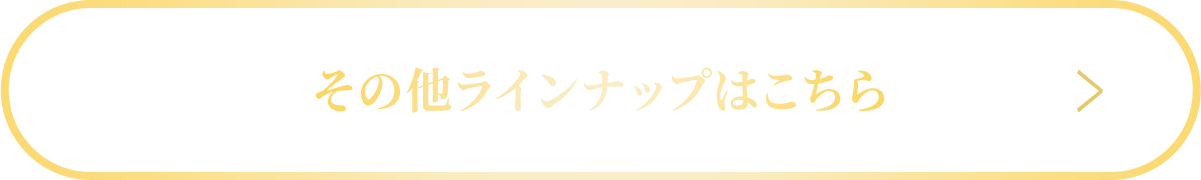 その他ラインナップはこちら